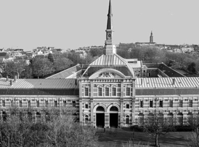 De koninklijke stallen